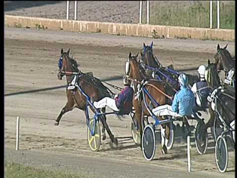 Trotto 23/04/2017 - 6ª corsa