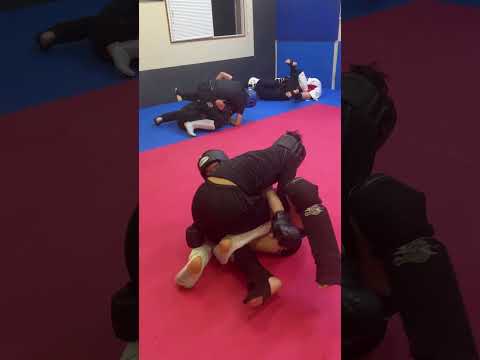 MMA甲子園出場の高校生スパーリング #空手 #格闘技