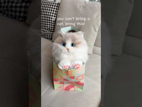 Perfect gift 🎁 #chongker #cat #robotanimal #robotcat #chongkerplush #cute