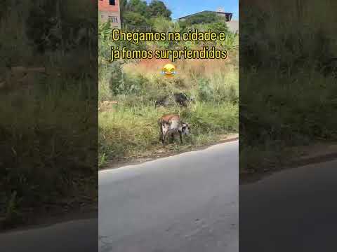 Viagem para cidade de Raul Soares MG