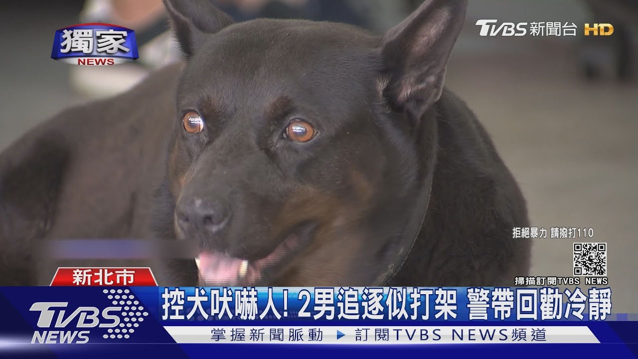 你狗嚇到我！單車男持寶特瓶作勢毆　熱心攤商沿街追問