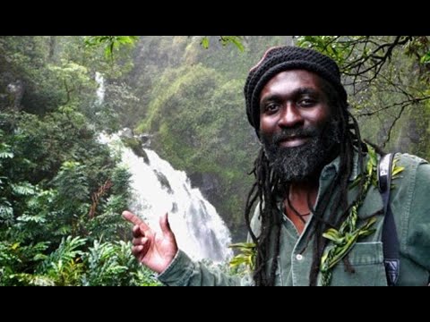 Mikey Dread backed by Roots Radics - The Jumping Master + dub #reggae #dub