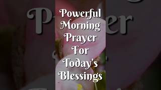 This Morning Prayer Will Renew Your Heart