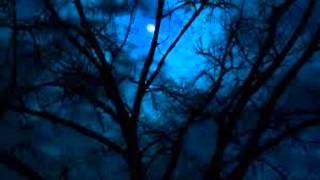 Ghost Brigade ~Disgusted By The Light