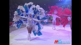 Волгоградский цирк и цирк Никулина приглашают зрителей на «Елку в цирке»