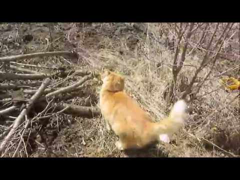 2 мая в деревне/много мусора/сельский водопровод