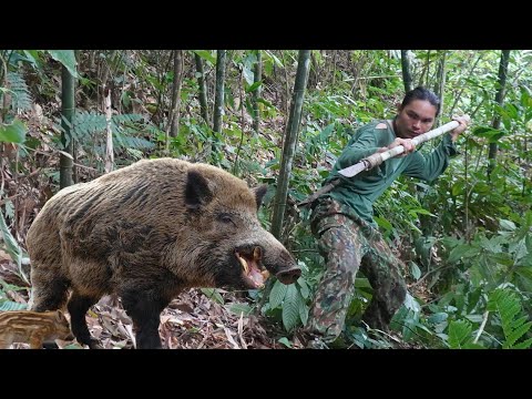 skills, set traps, catch wild boars, harvest agricultural products to bring to the market #FULVIDEO