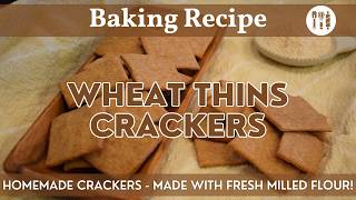 Homemade Wheat Thins | Classic Cracker Recipe Using Fresh Milled Flour!