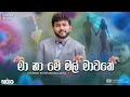 Ma Ha Me Mal Mawathe I මා හා මේ මල් මාවතේ I Nosalanna Kadulak Dasin I Co