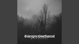 Music video thumbnail preview for Nur eine weitere Leiche im Wald by Eisregen