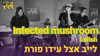 Infected mushroom - I Wish (לייב בגלגלצ)