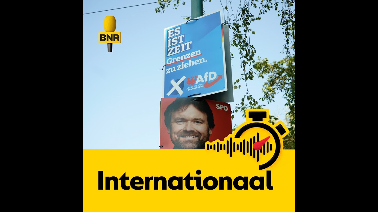 AfD kan opnieuw goed scoren bij verkiezingen Brandenburg: ‘Dan raken ze in Berlijn nog meer in pa...