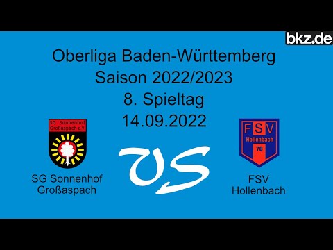 Fußball-Oberliga: SG Sonnenhof Großaspach - FSV Hollenbach