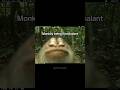 Animals Caught Reacting to Hidden Cameras #photography #hilarious