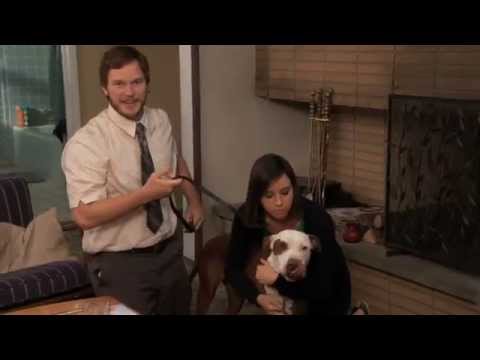 Ben Wyatt: How many legs did that dog have when you found him??