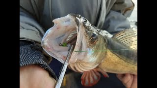 Рыбалка на шершневском водохранилище 2019