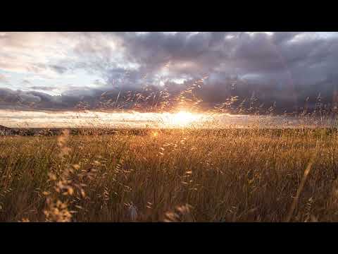 Gabriel Lewis - Camino Solo