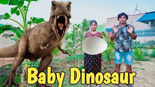 Baby Dinosaur 🦕 | comedy video | funny video | Prabhu sarala lifestyle