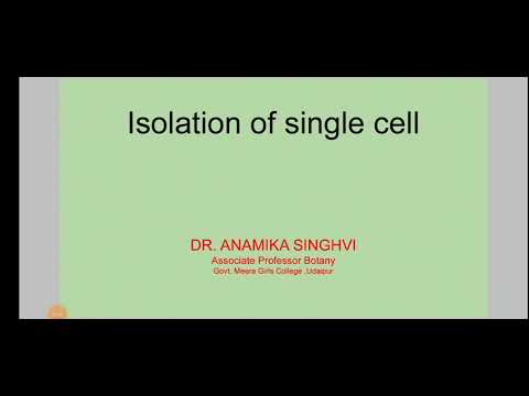 Isolation of Single Cell