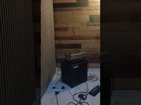 Carvin V3M + Cabinet image 11