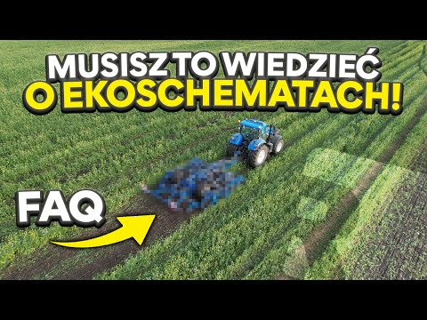 Ekoschematy – dopłaty, międzyplony czyli pytania, które zadaje każdy rolnik! #dotacjeunijne
