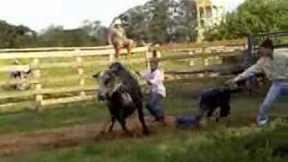 Leonardo Barro_If Can Just Hold On-PBR All Stars