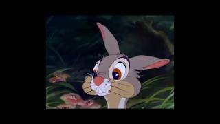 Bambi  Extrait : Panpan tombe Amoureux  Disney BE