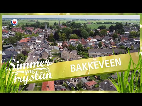 SIMMER: Bakkeveen