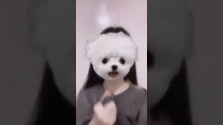 OMG HOT SHORT π® KOREANLOVE💗 TIKTOK SHORTS 2023