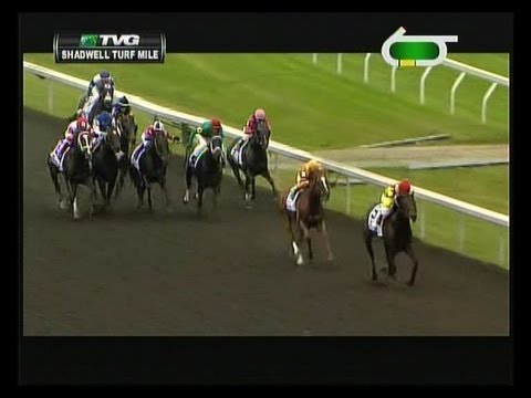 2013 Shadwell Turf Mile Stakes - Silver Max