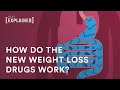How do the new weight loss drugs work?