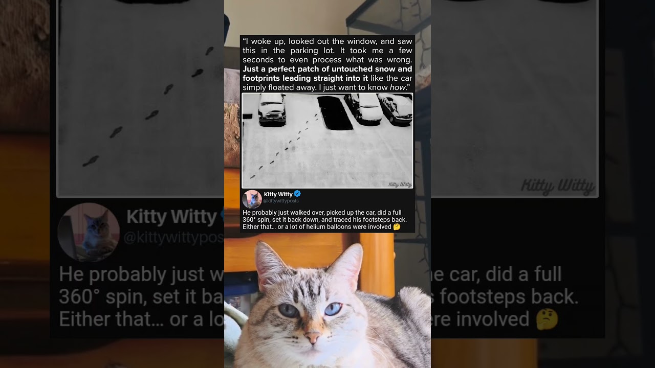 눈은 답보다 더 많은 질문을 남겼다