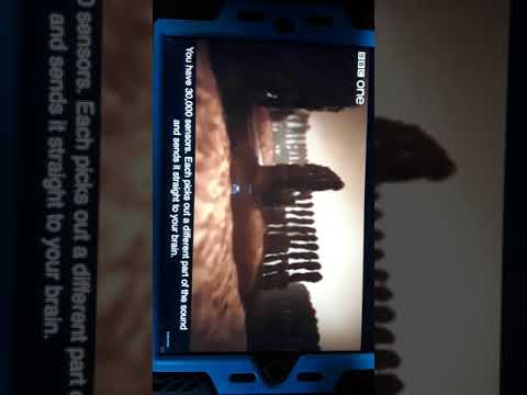 YouTube video