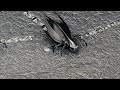 The Day The Earth Stood Still Movie Recap Sci Fi Drama 2008 Movie Explained