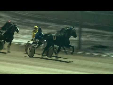 2017.01.21. 7. futam - 2017. ÉVI AMATŐR KUPA HENDIKEP I. FUTAM