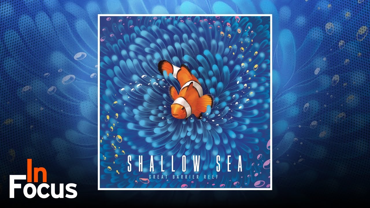Shallow Sea - In Focus