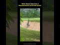 EBNW Story 17 Video thumbnail