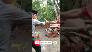 Download lagu Teknik Beladiri Cimande (Kelid Gede) #shorts #short mp3
