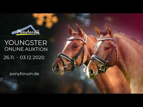 3j. Stute v. Del Piero - Aragon N