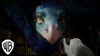 Creatures: Occamy | Fantastic Beasts and Where to Find Them | Warner Bros. Entertainment