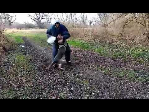 Vincent z Jukasu - 8 months