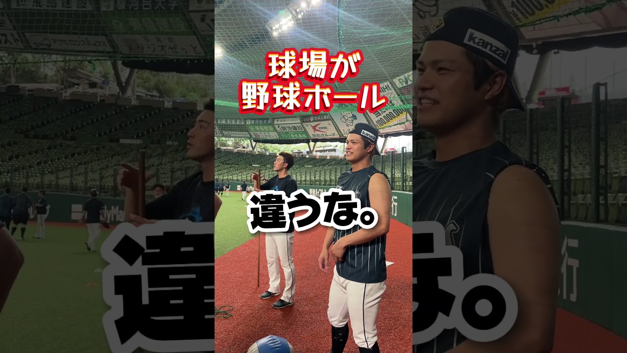 【皆さんわかりますか？】野球ボール3個を探せ！ベルーナドームの看板に隠れた謎とは？