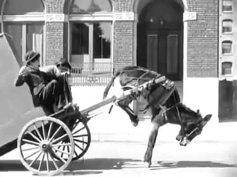 Charlie Chaplin and the Donkey Best Funny Scene