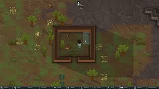 Video 4