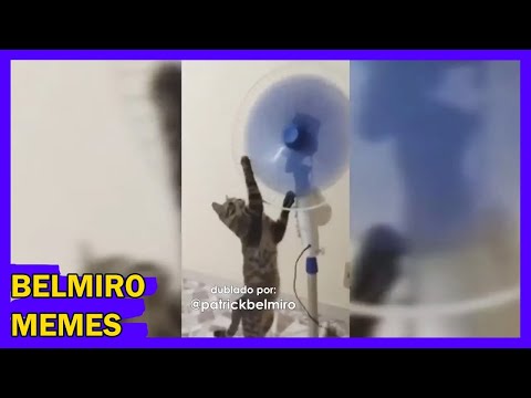 Belmiro Memes: Melhores dublagens engraçadas da semana 67