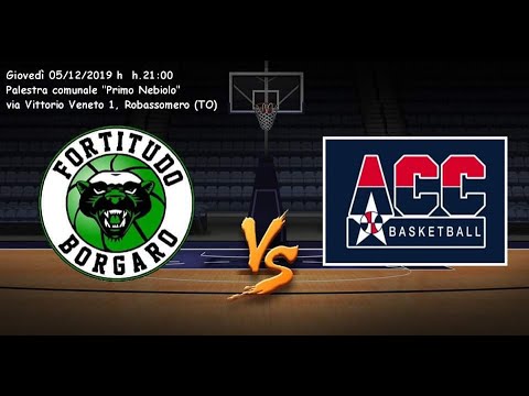 Fortitudo Borgaro - Antica Cestistica Chivassese