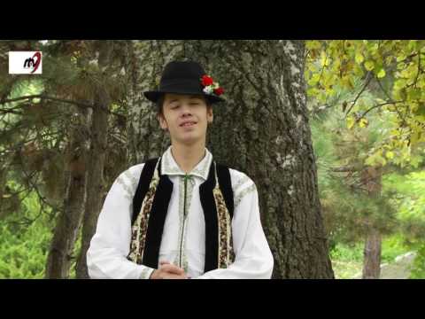 Stefan  Negru  -  Dorule  fii  blestematu