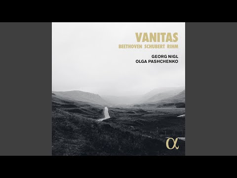 Wandrers Nachtlied, D. 768