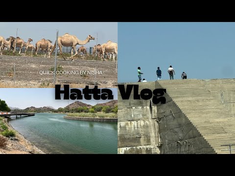 A trip to Hatta with family | Suhaila Dam | Places to visit in UAE | Quick cooking by nisha