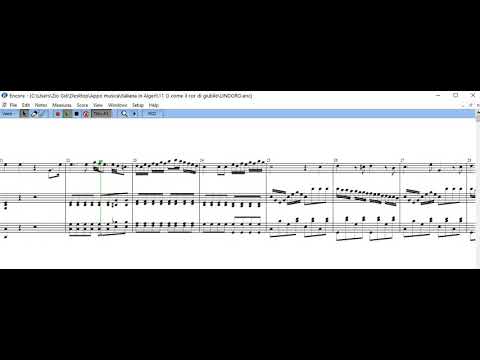 11 Rossini l'Italiana in Algeri O come il cor di giubilo